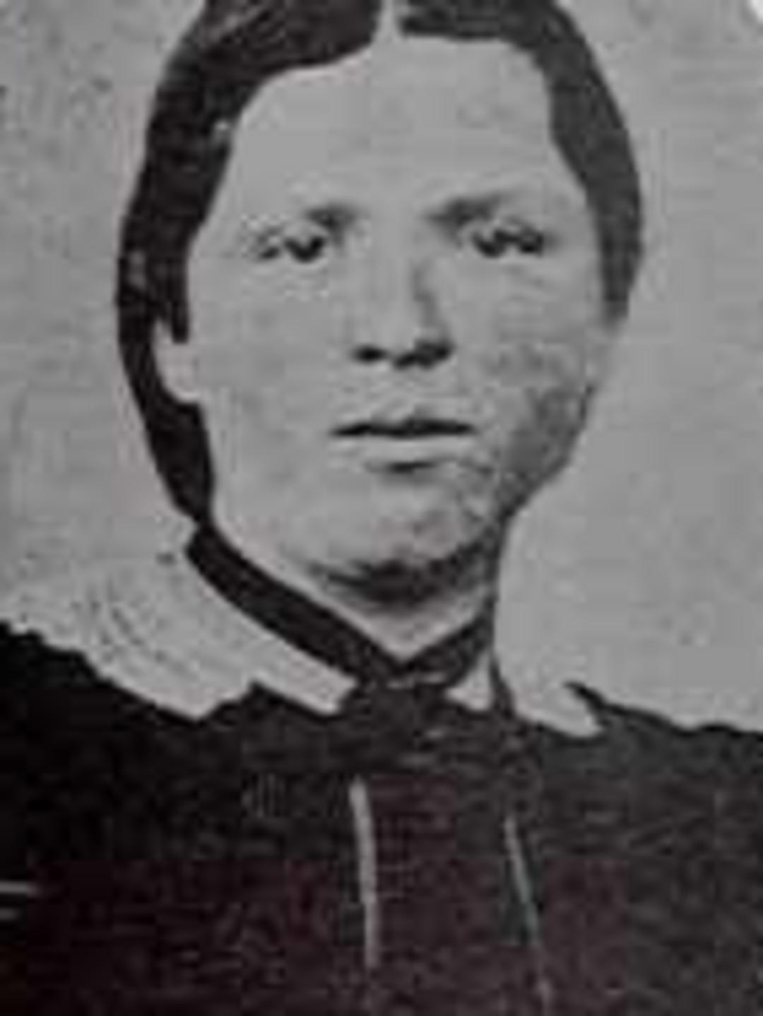 Catherine Ann Collings (1847 - 1881) Profile